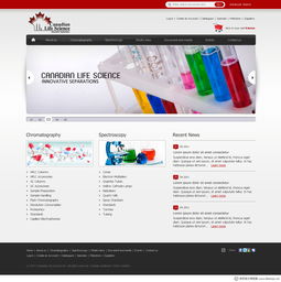 加拿大WebDesignerPS网页设计作品集（四） 创新、简约与用户体验的完美融合